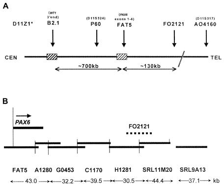 Figure  1