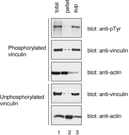 Figure 9.