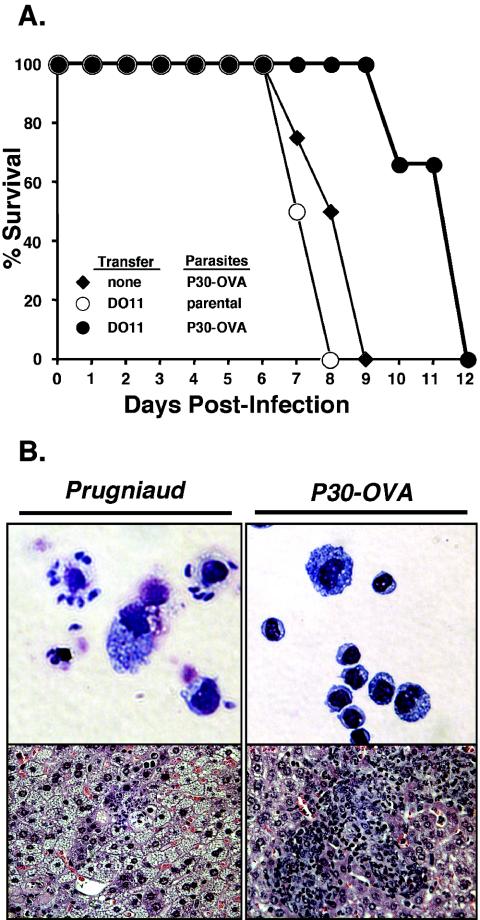 FIG. 6.