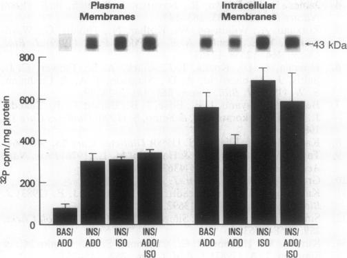 graphic file with name pnas01074-0532-a.jpg