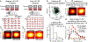 Extended Data Figure 4 |