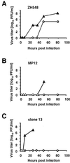 FIG. 3