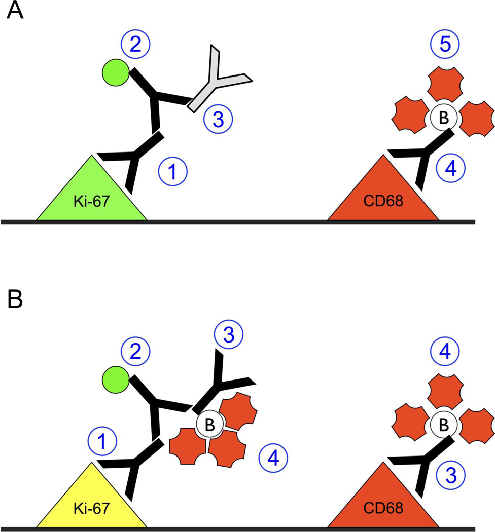 Fig. 6