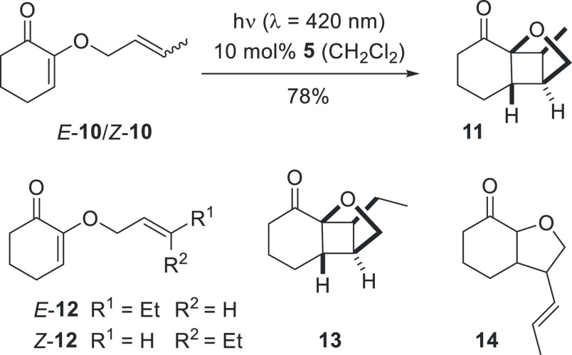 Scheme 4