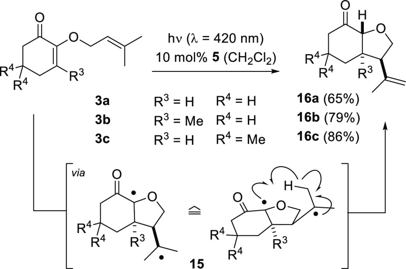 Scheme 5