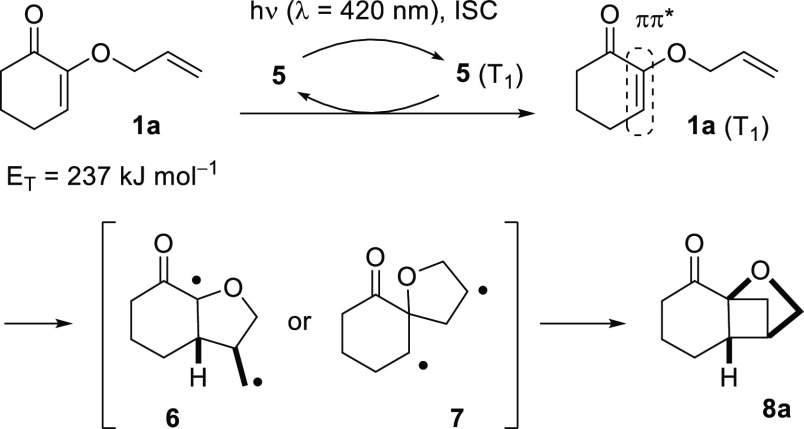 Scheme 2