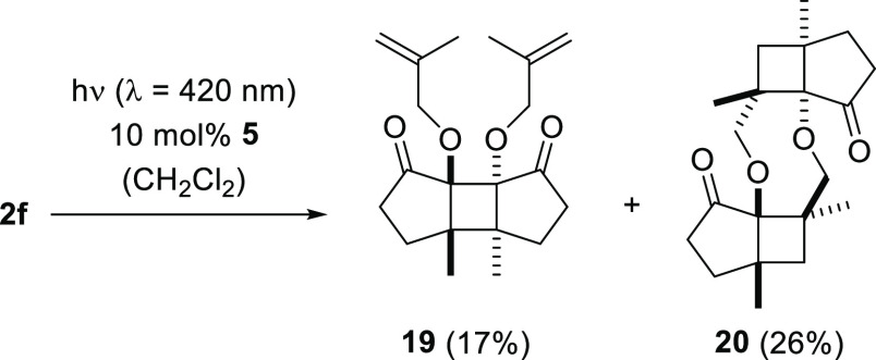 Scheme 7