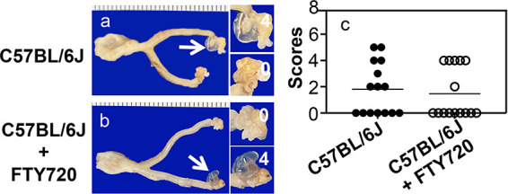 FIG 3