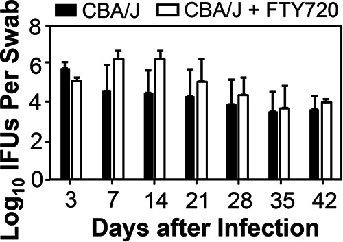 FIG 6