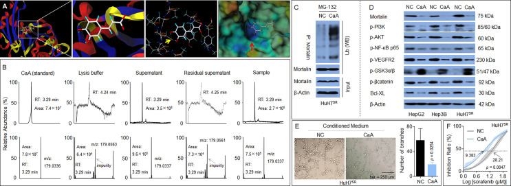 Figure 6