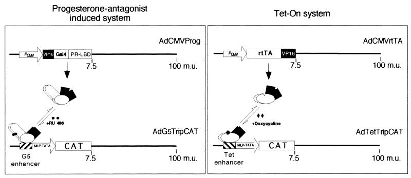 FIG. 1