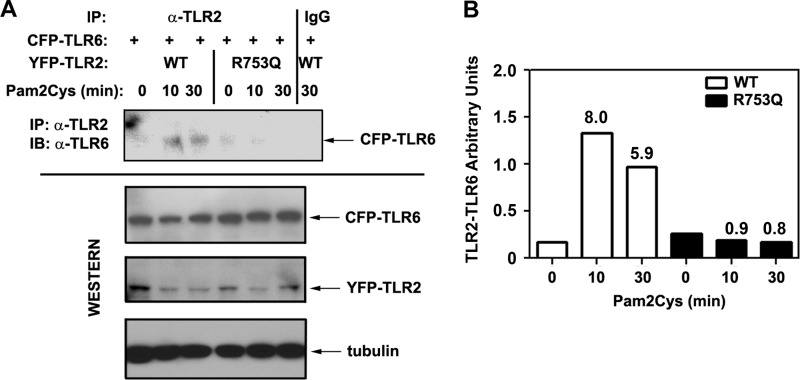 FIGURE 7.