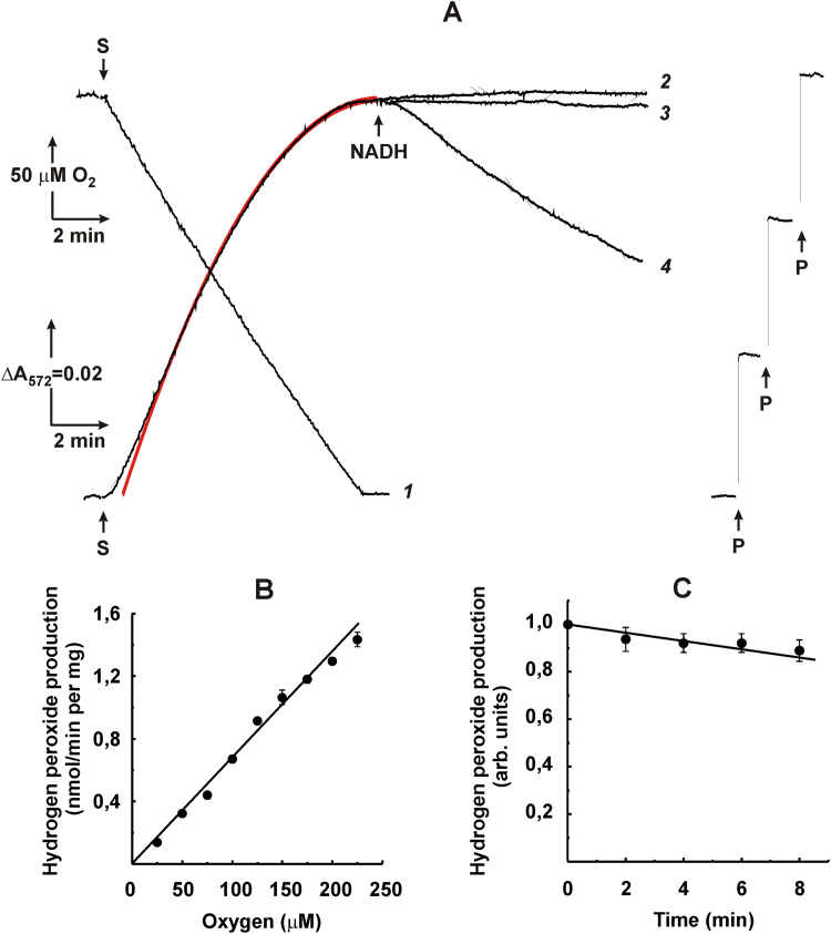 Fig. 5