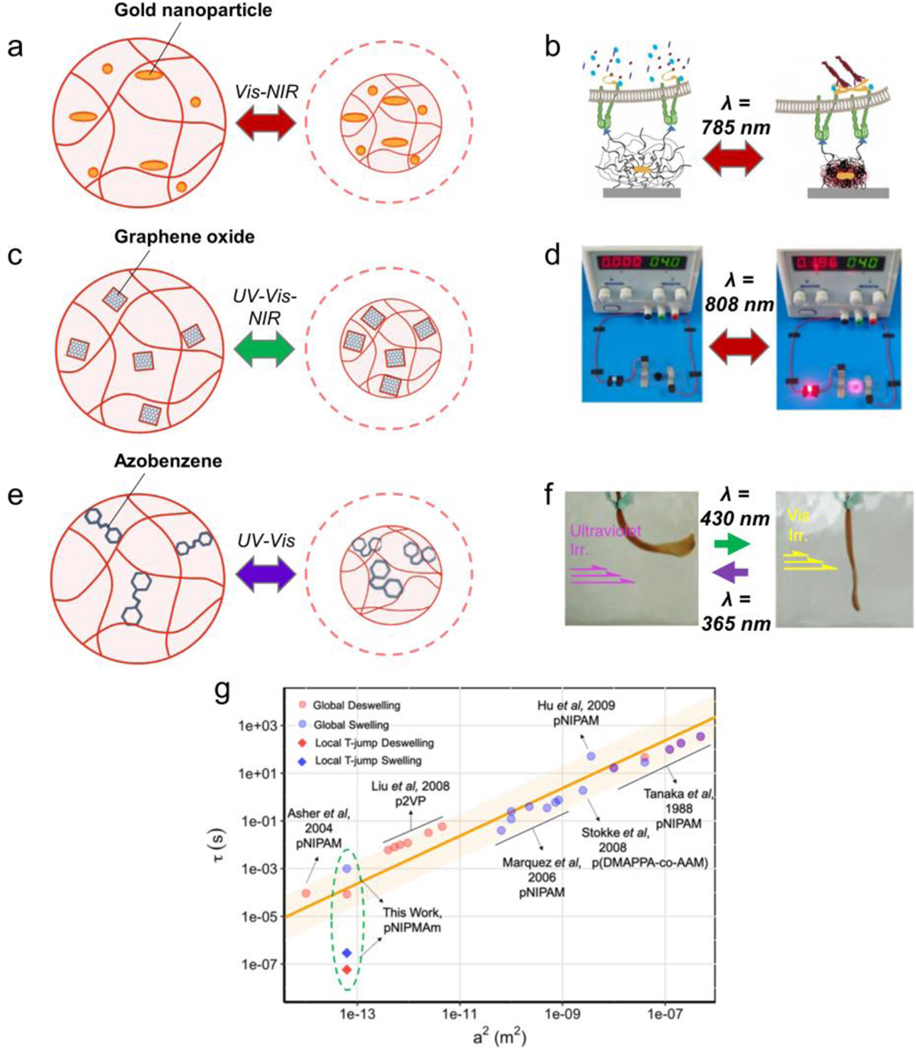 Figure 4: