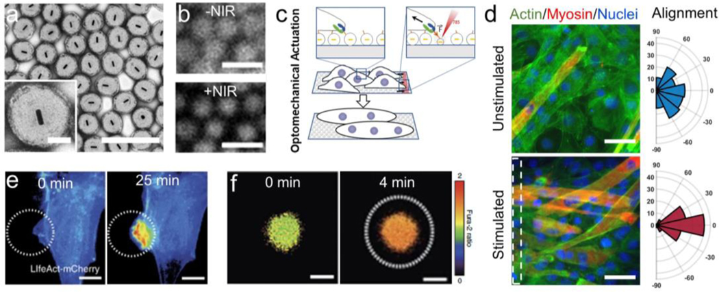 Figure 12: