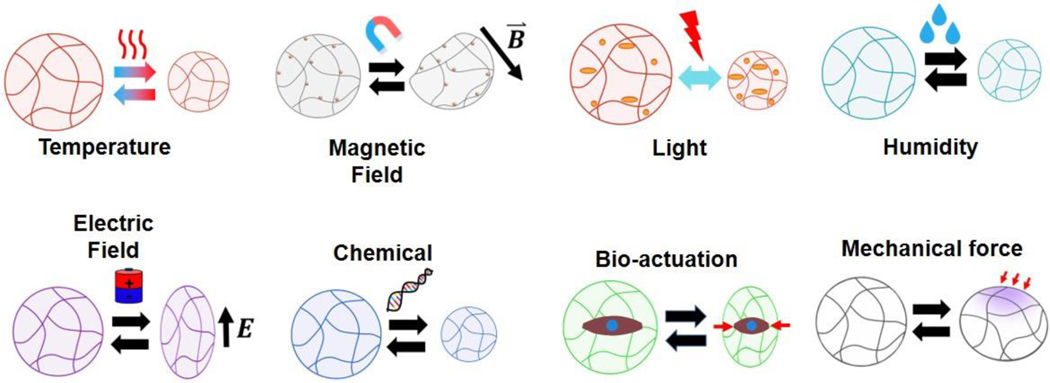 Figure 3: