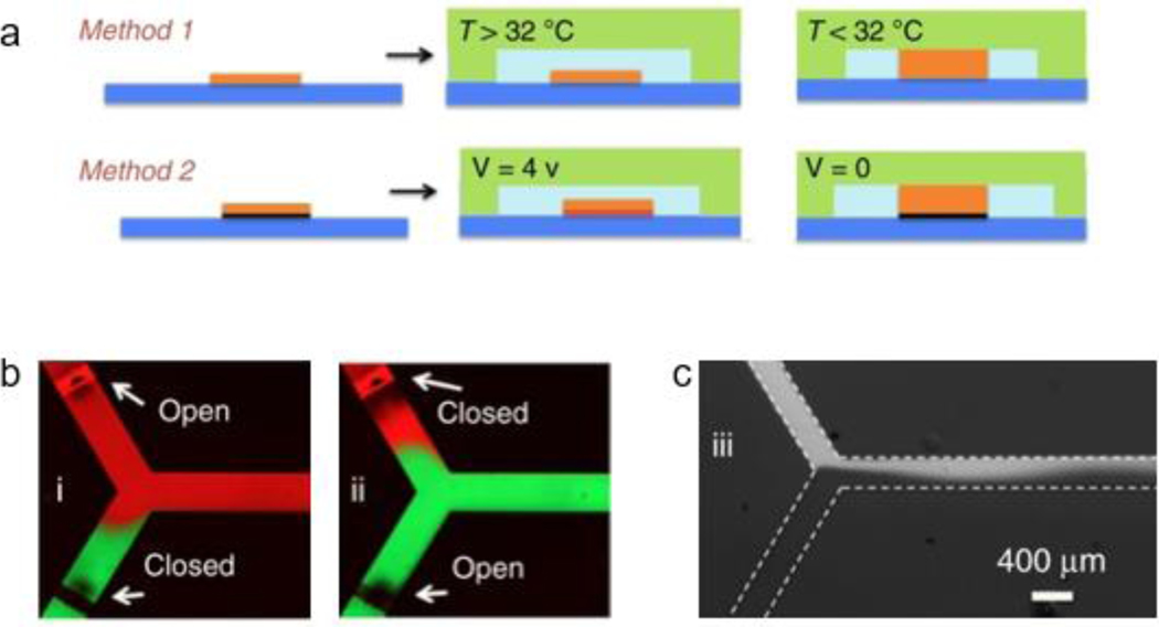 Figure 11: