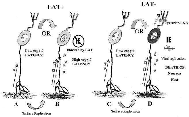 FIG. 8