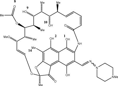 FIG. 1.