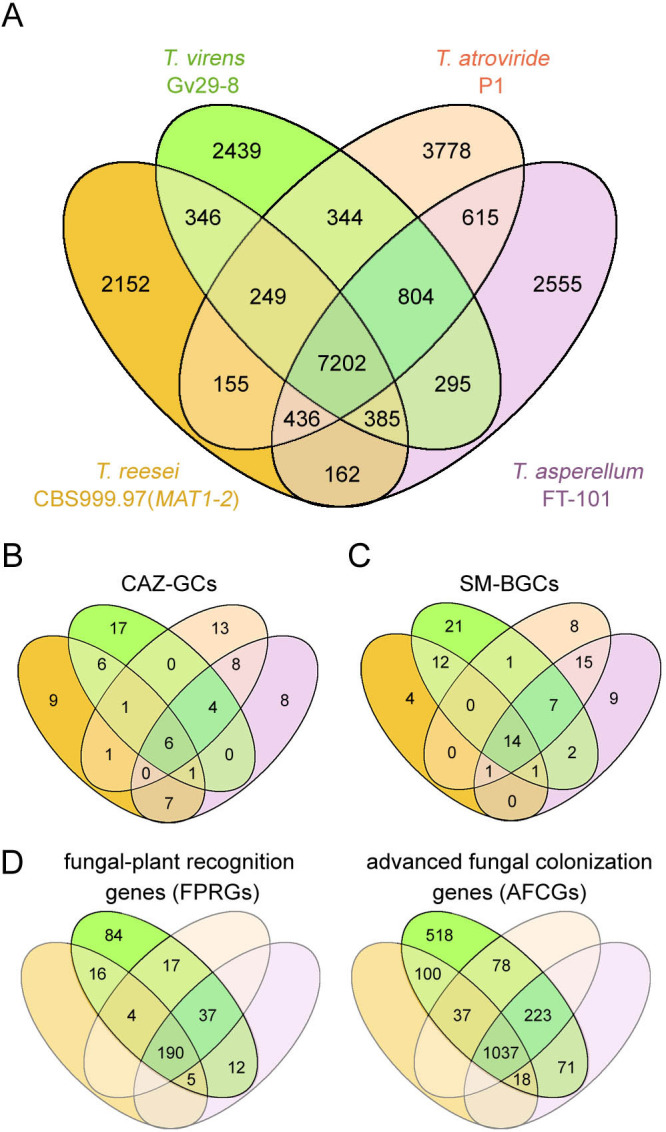 FIG 2