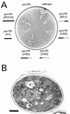 FIG. 6