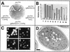 FIG. 10