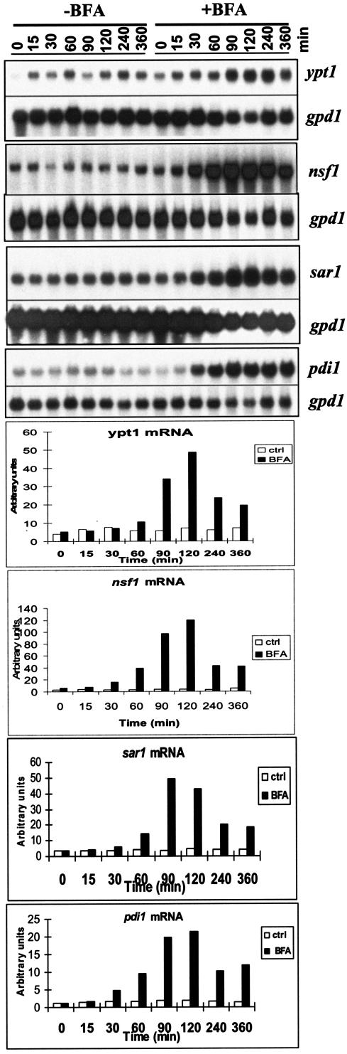 FIG.5.