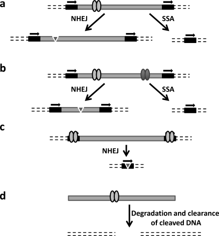 Fig. (4)