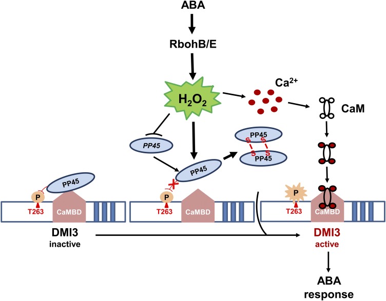 Figure 12.