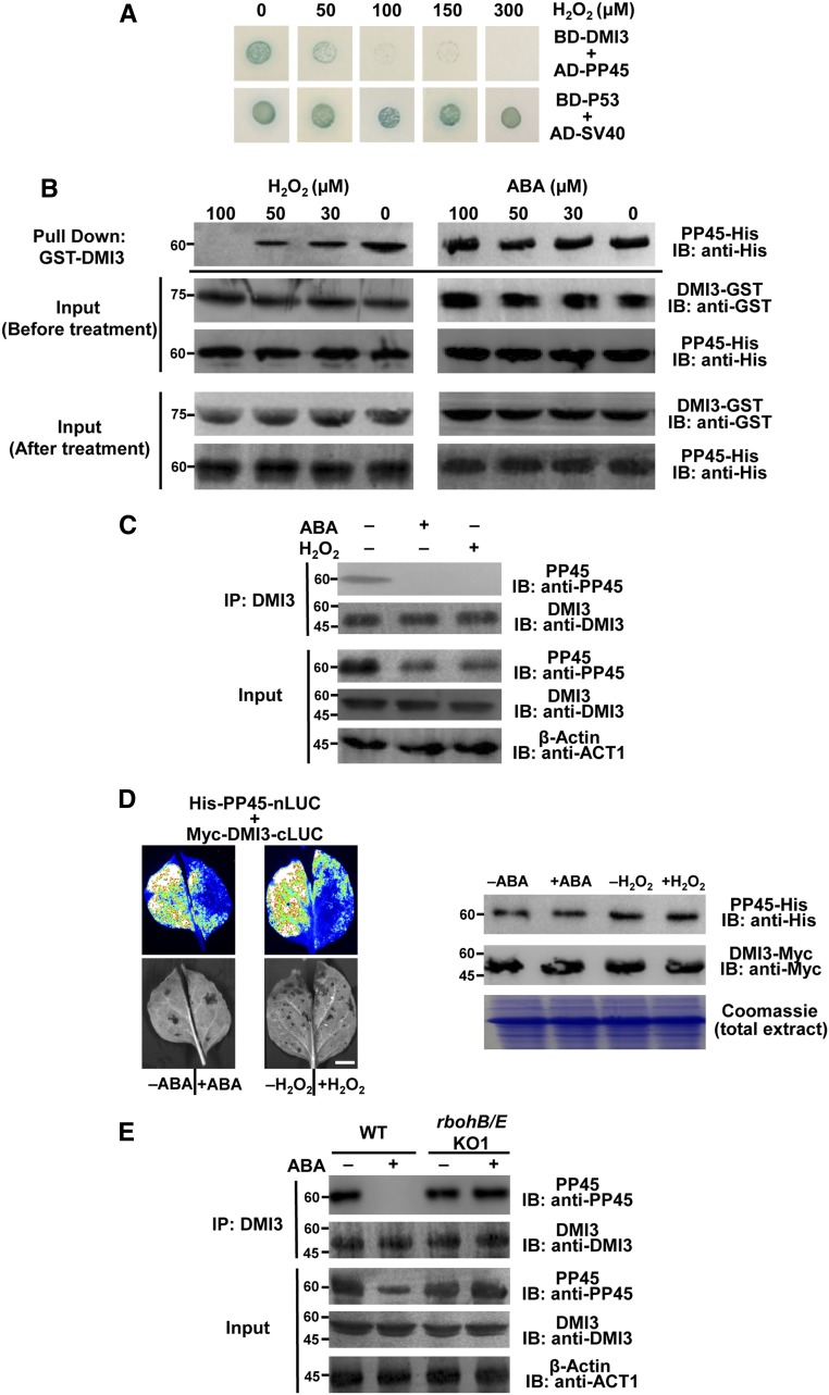 Figure 2.