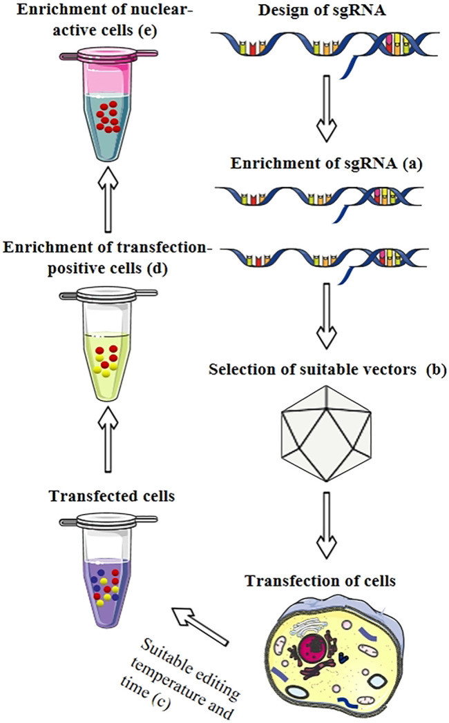 FIGURE 2