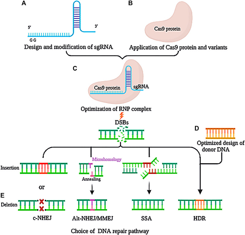 FIGURE 1