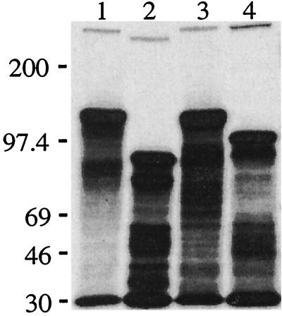 FIG. 7