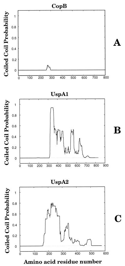 FIG. 6