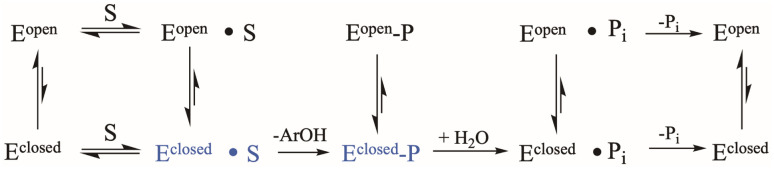 Scheme 1