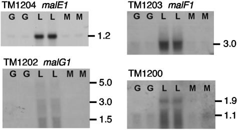 FIG. 5.