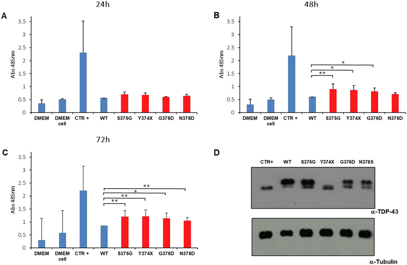 Figure 5.