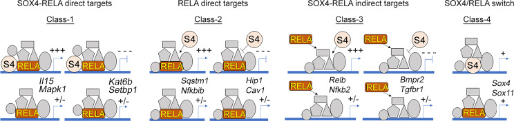 Figure 4