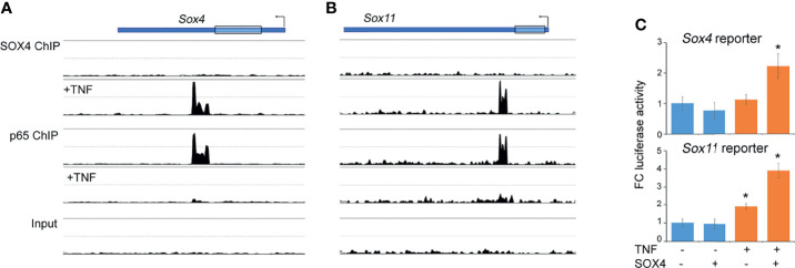 Figure 3