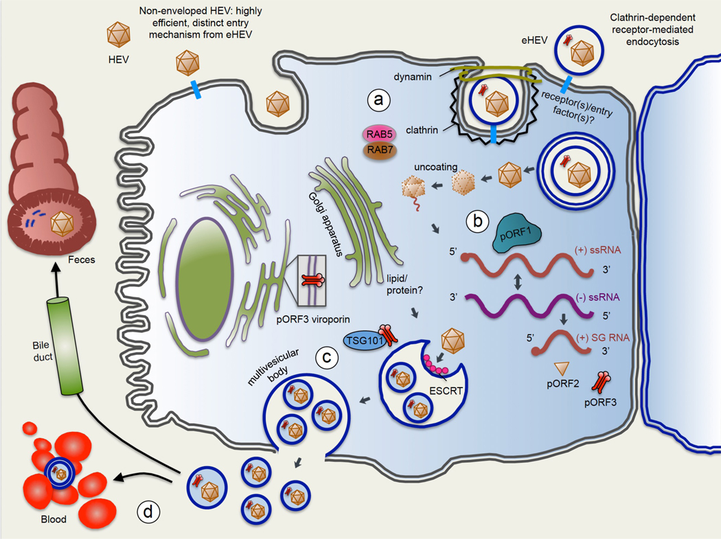 Fig 3.