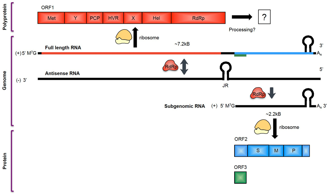 Fig 2.