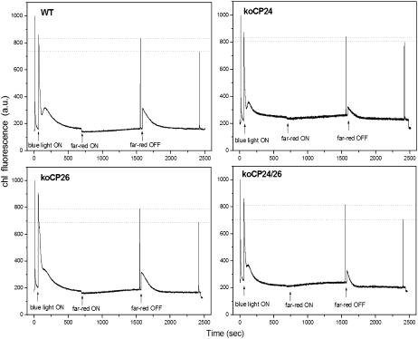 Figure 11.