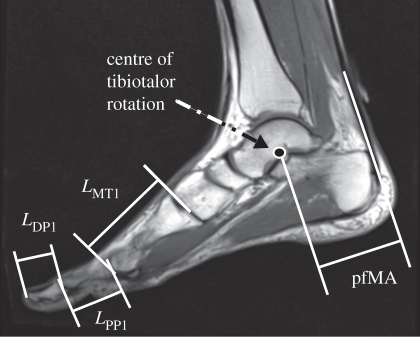 Figure 1.