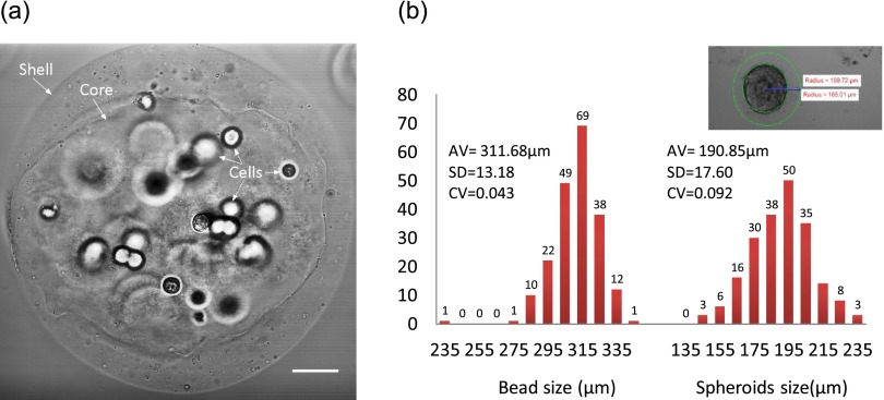 FIG. 3.