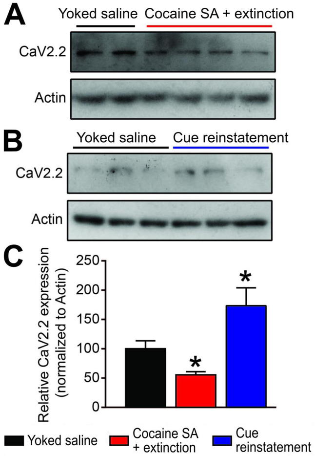 FIGURE 4: