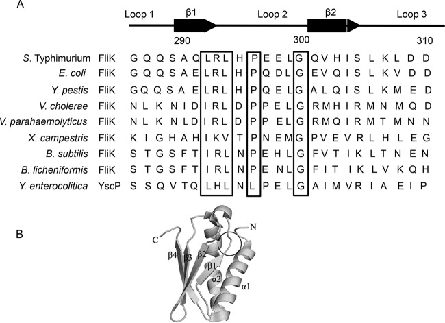 FIG 1