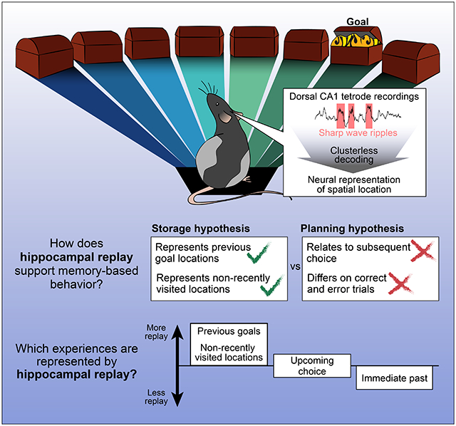 graphic file with name nihms-1731801-f0009.jpg