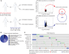 Figure 1. The AVAST-M trial identifies a signature predictive of metastatic relapse. A, Schematic showing the differential expression (DE) analysis resulting in the 41 downregulated genes associated with distant recurrence from the AVAST-M trial. The covariate-corrected DE analysis compared distant recurrence vs. no distant recurrence and was undertaken separately on primary melanomas (n = 194) and regional lymph node tumors (n = 143). Volcano plot showing, for each gene, the −log10 FDR-corrected P value (Y-axis) and the corresponding log-fold change estimate within the DE analysis (X-axis). The (predominant) downregulated genes with an FDR-corrected P < 0.1 are color-coded (red dots indicate genes derived from skin primary melanomas; blue dots indicate genes derived from regional lymph node tumors). The intersecting (41) downregulated genes were selected for further testing. List of genes in Supplementary Table S1. B, PANTHER pathway analysis of AVAST-M genes represented as a pie graph. C, Alteration frequency of candidate genes in the TCGA melanoma cohort (Firehose Legacy, n = 287). Top altered genes are plotted to display deep deletions, missense mutations, and amplifications.