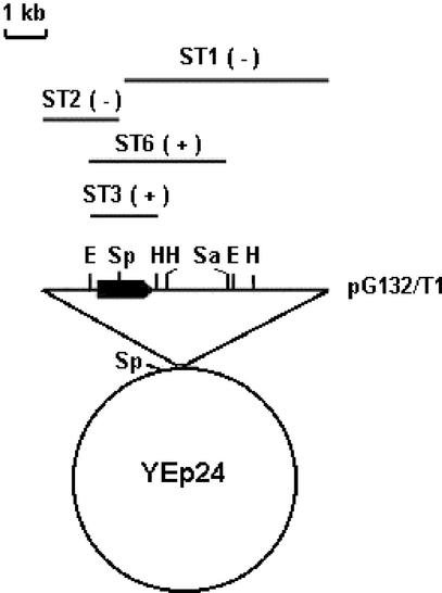 Figure 2.