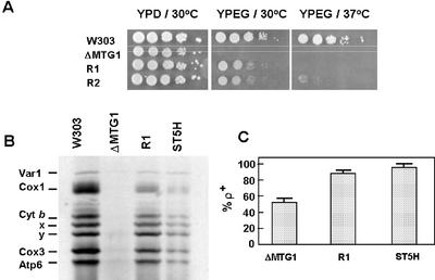 Figure 6.